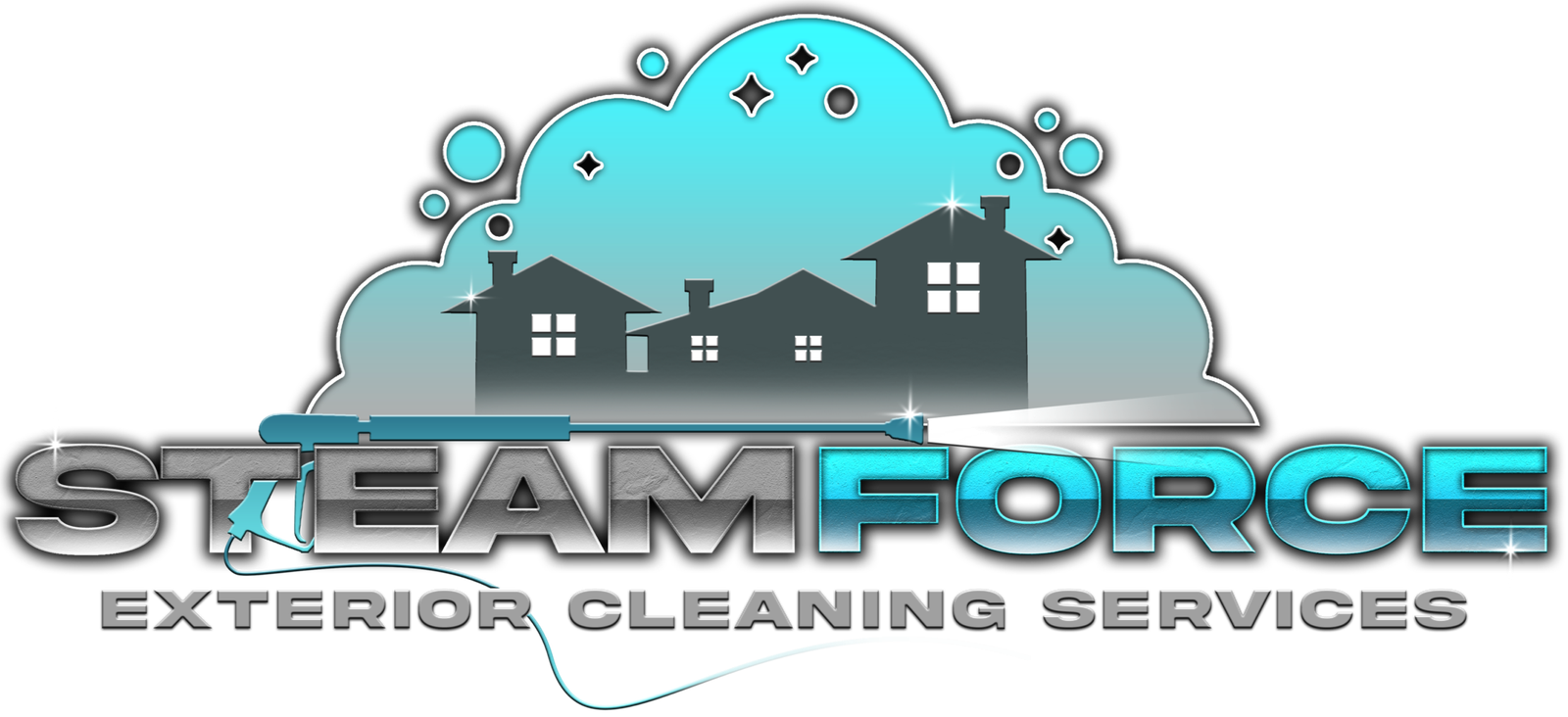 Steam Force Exterior Cleaning Cervices